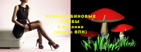 дурь Арсеньев