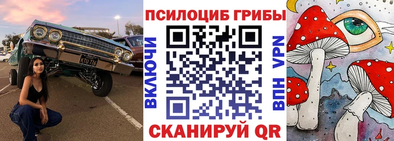ОМГ ОМГ ссылки  наркошоп  Константиновск  Псилоцибиновые грибы мицелий 